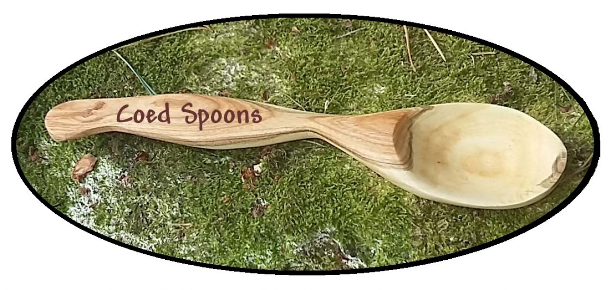 Coed Spoons